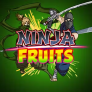 Λογότυπο Ninja Fruits
