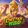 Λογότυπο Cheetah Wild