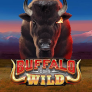Λογότυπο Buffalo Goes Wild