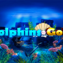 Λογότυπο Dolphins Gold