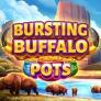 Λογότυπο Bursting Buffalo Pots