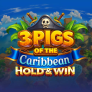 Λογότυπο 3 Pigs of the Caribbean