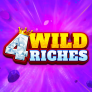 Λογότυπο 4 Wild Riches