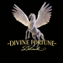 Λογότυπο Divine Fortune Black