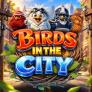 Λογότυπο Birds in The City