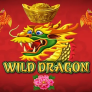 Λογότυπο Wild Dragon