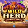 Λογότυπο Wild Herd Stampede Stacks