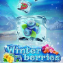 Λογότυπο Winterberries