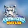 Λογότυπο Himalayan Wild